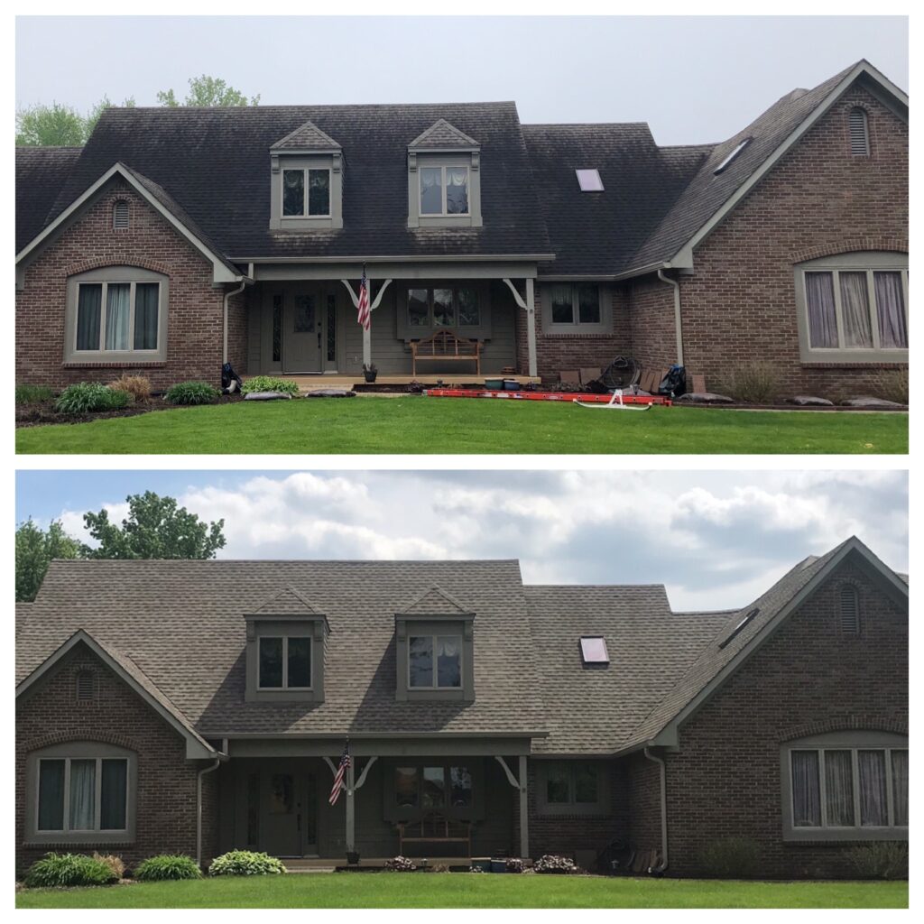 Professional Roof Cleaning To Remove Gloeocapsa magma