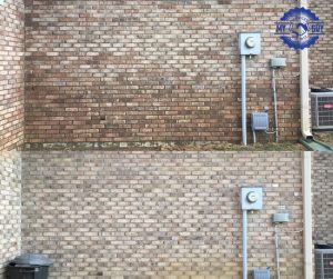 house washing removing efflorescence before and after siding cleaning