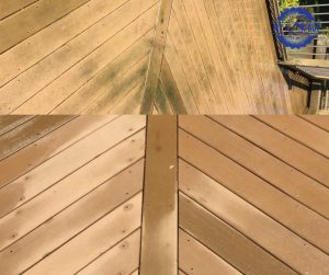 deck cleaning before and after mold removal soft wash