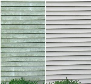 soft wash house washing removing mold from vinyl siding Indianapolis