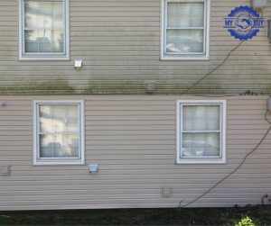 residential siding cleaning before and after house washing