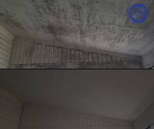 soffit and eaves soft wash cleaning before and after
