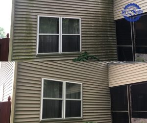 vinyl siding mold removal before and after house washing