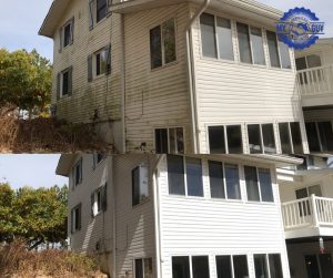 residential soft wash house cleaning before and after