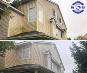 green streak mold removal house washing before and after