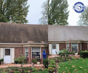 black streak removal roof cleaning before and after soft wash