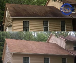 roof soft washing removing black streaks before and after Indianapolis