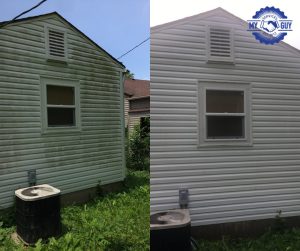 before and after exterior house cleaning removing green algae from siding