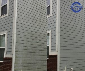 north side of home house washing before and after mold removal Indianapolis