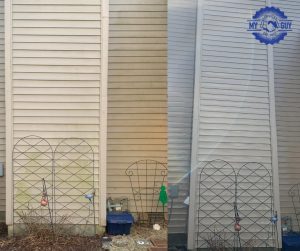 bottom siding house washing removing green mold before and after