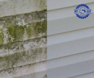 close up vinyl siding cleaning removing algae and mildew Indianapolis