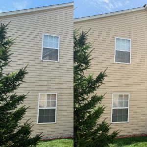 house washing near me removing green algae from siding Indianapolis