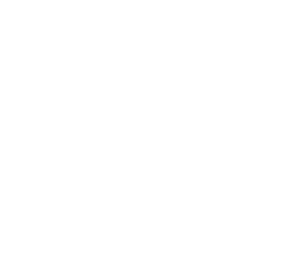 My Guy Services EST 2012