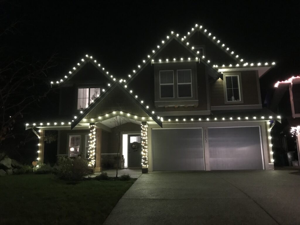 Professional Christmas Light Installer