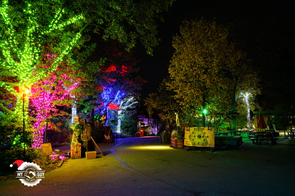 Indianapolis Zoo trees decorated with Christmas lights