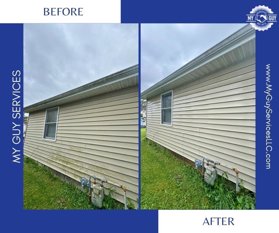 Why Mold Shows Up on Beech Grove Siding