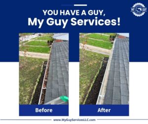 professional gutter cleaning before and after residential home gutters