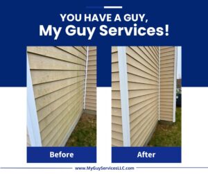 before and after house washing removing green mold from siding Indianapolis